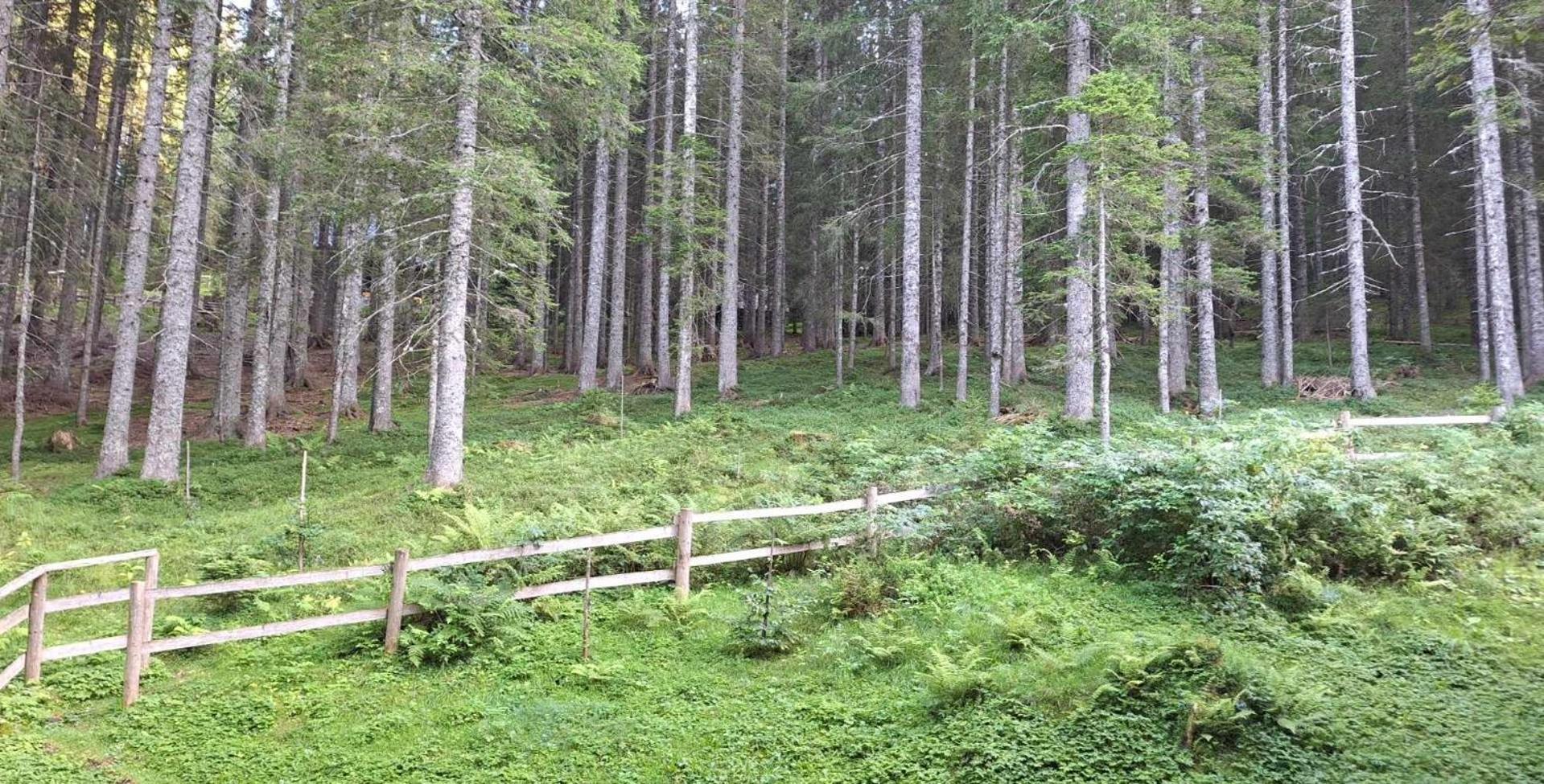 Apartma Anja Zgornje Gorje Εξωτερικό φωτογραφία
